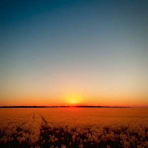 鲁大师在线影院播放视频
